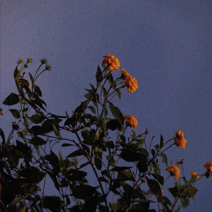 四川BBBB搡BBB搡B1图
