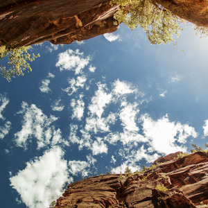 四川BBBB搡BBB搡B1图
